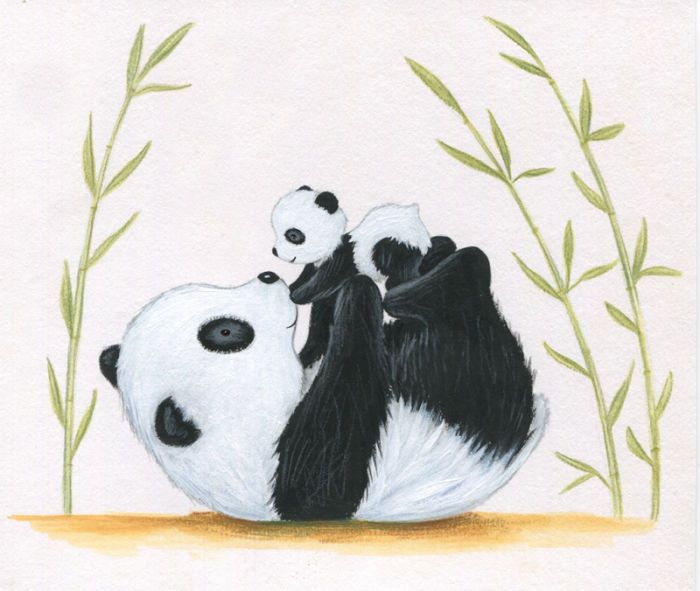 Hình ảnh con gấu trúc Panda